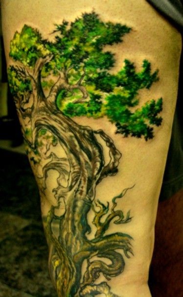 nice bonsai tree tattoo on thigh tattooimages biz nice bonsai tree tattoo on thigh tattooimages biz